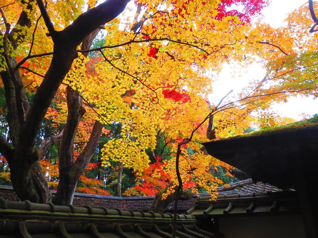 Murasakino Guesthouse Kyoto Exterior photo